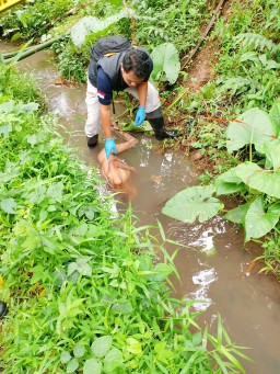 Diduga Depresi Perempuan Tanpa Busana Ditemukan Tewas di Selokan Sawah