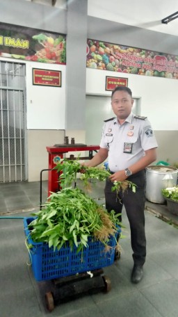 Bukan Sekadar Pembinaan, Lapas Narkotika Kelas IIA Pamekasan Jadi Pusat Produktivitas Dengan Panen Kangkung