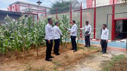 Langkah Awal Penuh Gebrakan! Plh. Kalapas Narkotika Kelas IIA Pamekasan Tinjau Pembinaan, Ketahanan Pangan dan Administrasi