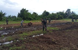 Kodim 1619 Tabanan Buka Lahan Ketahanan Pangan Program Tambahan TMMD ke-123 Capai 25 Persen