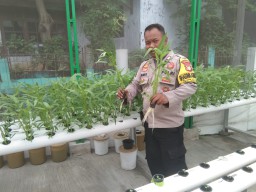 Bhabinkamtibmas Matraman Tinjau Ketahanan Pangan Green Puspa.
