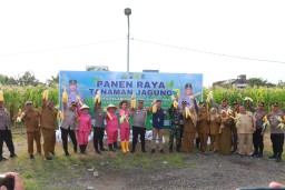 Polres Pelabuhan Tanjung Perak Ajak Mahasiswa Panen Jagung di Tambak Wedi, Dalam Rangka Swasembada Pangan