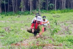 Bersama Stakeholder, RPH Tegalampel  Lakukan Penanaman dan Perbaikan Tanaman di Lahan Kosong