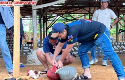 Polres Sampang Bubarkan Sabung Ayam Di Desa Bira Tengah Sokobanah Sampang, Cipta Kondisi Bulan Ramadhan di Wilayah Hukum Sampang