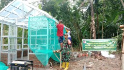 Rumah Pangan Lestari, Wujudkan Ketahanan Pangan TMMD Ke-123 Bondowoso