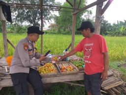 Pastikan Program Ketahanan Pangan Berjalan, Bhabinkamtibmas Polsek Pandaan Turun ke Kebun Jeruk