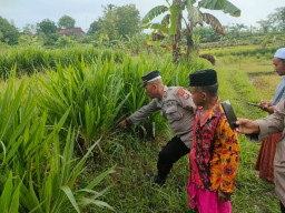 Geger Penemuan Bayi Di Desa Tolang Kecamatan Banyuates, Polsek Banyuates Datangi TKP