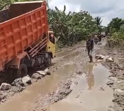 Keluh Kesah Warga Jalan Rusak, Bupati Romi Wijaya Tinjau Kerusakan Jalan Masbangun dan Sukamaju
