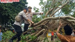Pospam Ketupat Semeru 2025 Long Malang Evakuasi Pohon Tumbang di Jalan Raya Desa Bire Timur Sokobanah