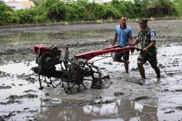 Lanud Muljono Kelola Lahan Ketahanan Pangan, Dukung Program Asta Cita Presiden RI