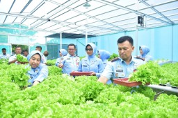 Kembangkan Pertanian Terpadu, Lanud Muljono Wujudkan TNI AU AMPUH Dukung Ketahanan Pangan Nasional"