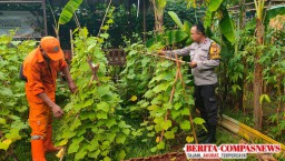 Dukung Kemandirian Pangan, Polsek Makasar Lakukan Pembinaan Langsung Ke Lahan Ketahanan Pangan Bergizi.