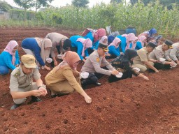 Dukung Ketahanan Pangan, Kapolsek Cipayung dan Muspika Tanam Bibit Bawang Merah Serentak.