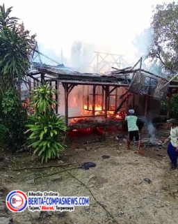 Si Jago Merah Gemparkan Warga Desa Waringin Jaya Kecamatan Cigeulis 