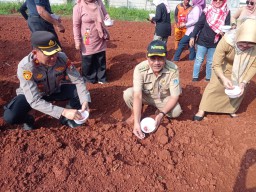 Dukung Ketahanan Pangan, Polsek Cipayung Tanam Bibit Jagung di Lahan 3.000 Meter Persegi.
