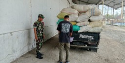 Babinsa Koramil 0822/13 Tlogosari Dukung Ketahanan Pangan Kawal Serap Gabah Seluas 0,4 Hektar