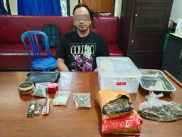 Simpan Satu Kg Ganja Satresnarkoba Polresta Denpasar Amankan Pria Asal Surabaya