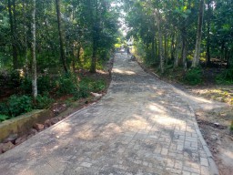 Pemdes Koncang Kerjakan Proyek Paving Block di Kampung Sengklong RT 02 dan RT 03 RW 01 Menggunakan Dana Desa Tahap I Tahun 2025