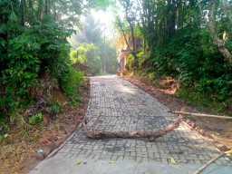 Pemdes Koncang Kerjakan Proyek Paving Block di Kampung Mentruk RT 02 dan RT 03 RW 01 Menggunakan Dana Desa Tahap I Tahun 2025