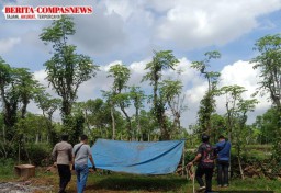 Polres Sampang Berantas Judi Sabung Ayam di Sokobanah, Warga Diminta Melaporkan