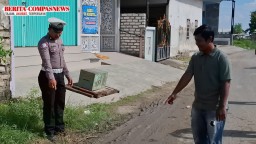 Kecelakaan Lalu Lintas di Sampang: Polres Selidiki Penyebab Kecelakaan yang Melibatkan Pegawai Dishub