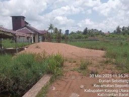 Warga Keluhkan Jalan Rusak,Desa Durian Sebatang Abaikan, Lebih Fokus Bangun Taman Bunga, Eronisnya Ambil Pasir Tanpa Izin Panitia