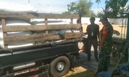 Peran Aktif Babinsa Kodim 0822/10 Wonosari Dampingi Bulog Serap Gabah Demi Sejahterakan Petani