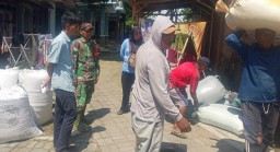 Babinsa Tenggarang dan Bulog Bersinergi Amankan Ketahanan Pangan di Kab Bondowoso