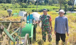 Langkah Nyata Babinsa 0822/08 Grujugan Serap Gabah Bersama Bulog Guna Lindungi Petani di Desa Wonosari