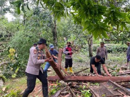 Angin Puting Beliung Terjadi di Batangan, Sinergitas Tiga Pilar dan Warga Kompak Gotong Royong