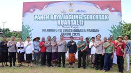Polresta Denpasar Gelar Vicon Panen Raya Jagung Serentak Kuartal II dan Groundbreaking Dukung Swasembada Pangan 2025