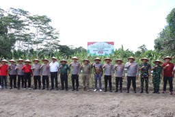 Dandim Gianyar Letkol I Gede Winarsa Turut Hadiri Panen Raya Jagung Serentak di Desa Beng
