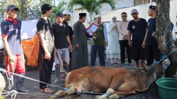 Qurban Presisi Polresta Denpasar: Tingkatkan Keimanan dan Kepedulian Sosial di Momen Idul Adha 1446 H