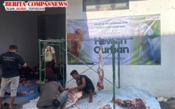 Kurban Idul Adha di RSUD Muhammad Zyn: Wujud Kepedulian dan Berbagi