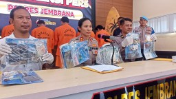 Polres Jembrana Ungkap Kasus Peredaran Narkotika, Tujuh Orang Pengedar Sabu Diamankan
