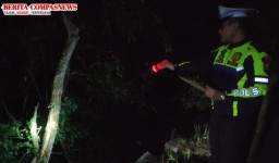 Kecelakaan Lalu Lintas Tunggal di Tambelangan, Sampang, Tewaskan Satu Orang