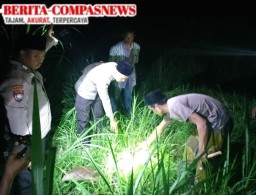 Misteri Penemuan Bayi Laki-Laki di Sampang, Kepolisian Cari Kebenaran