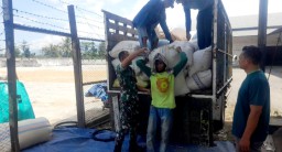 Aksi Nyata Babinsa Kembangan Bantu Petani Serap Gabah Bersama Bulog Seberat 1, 3 Ton