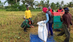 Kerja Sama Babinsa Karanganyar dan Bulog Guna Dukung Hanpangan Nasional di Wilayah Binaan