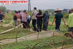 Sambaran Petir Mengakibatkan Korban Jiwa di Kecamatan Torjun