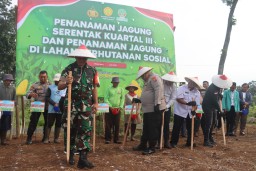Kolaborasi Untuk Swasembada : Polres Pasuruan Tanam Jagung Serentak di Lahan Perhutanan Sosial