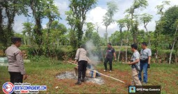 Polsek Sokobanah Sampang Bakar Sarpras Judi Sabung Ayam di Desa Bira Tengah