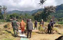 Sukseskan Swasembada Pangan, Babinsa Kabuaran Sertu Puji Berhasil Serap Gabah Petani Bersama Bulog