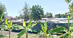 Warga Wringin Anom Minta PT  Kerang Mutiara Perkasa Segera Ditutup