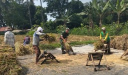 Babinsa Pelalangan Terus Bantu Kelancaran Petani Demi Suksesnya Hanpangan Nasional di Wilayah