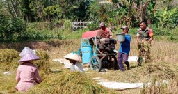 PPL Kecamatan Tegalampel Apresiasi Babinsa Klabang Agung Serap Gabah Bersama Bulog