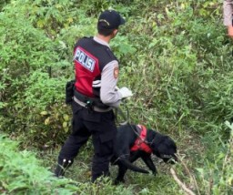 Berkat Anjing Unit K-9 Polda Jatim Indentitas Korban Mutilasi Pacet Berhasil Terungkap