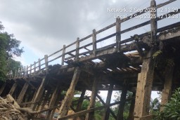 Janji Politik Tinggal Janji, Jembatan Lapuk dan Jalan Rusak di Bengkayang Makan Korban