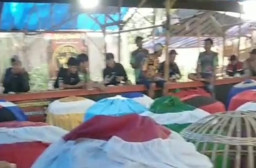 Lapor Kapolda Jatim Kok Diam, Event Besar Puluhan Juta Sabung Ayam di Balung Jember  Digelar