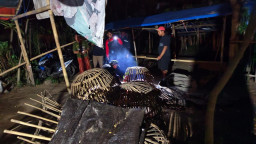Respon Cepat Pengaduan Masyarakat Polres Lumajang Langsung  Bongkar 2 Tempat Arena Sabung Ayam di Lumajang